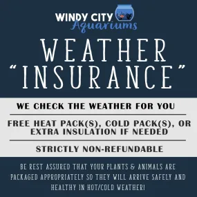 Weather Insurance